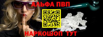 индика Камышлов