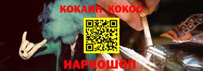 индика Камышлов