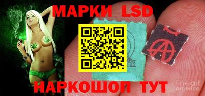 индика Камышлов