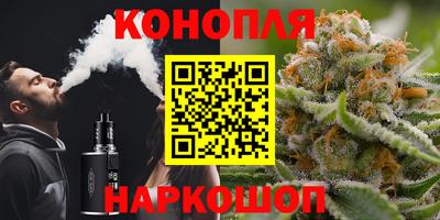 индика Камышлов