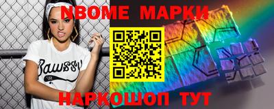индика Камышлов