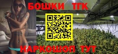 индика Камышлов