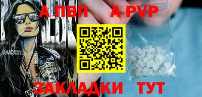 индика Камышлов