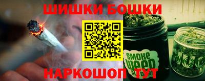 индика Камышлов