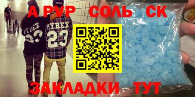 индика Камышлов
