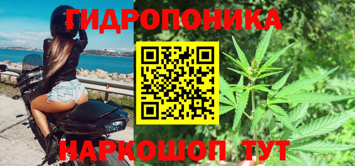 Каннабис конопля Красный Сулин